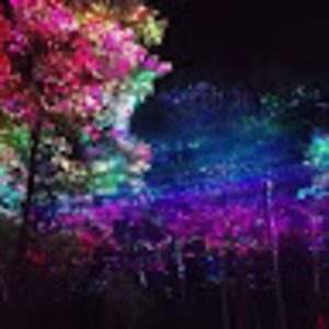 Meet your Posher, Alejandra